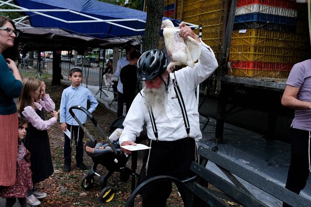 Activists and Orthodox Jews face off in Crown Heights over the annual Kaporos festival